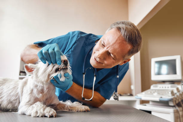 Best Emergency Denture Repair in Red Corral, CA