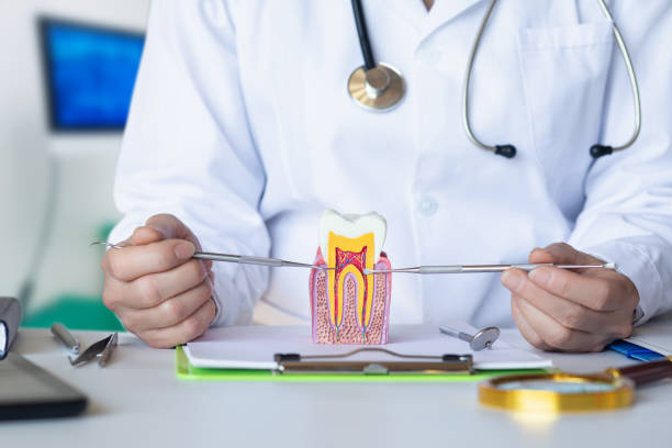 Best Emergency Treatment for Oral Infections in Red Corral, CA